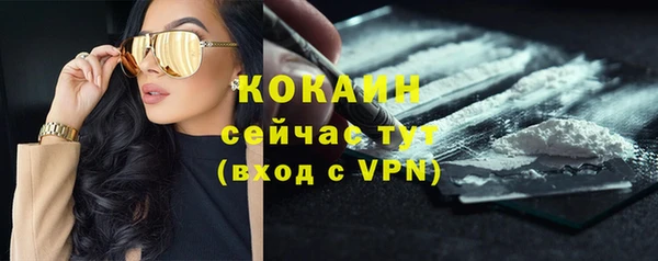 сатива Зерноград