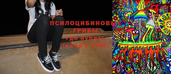 сатива Зерноград