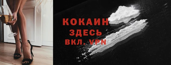 сатива Зерноград