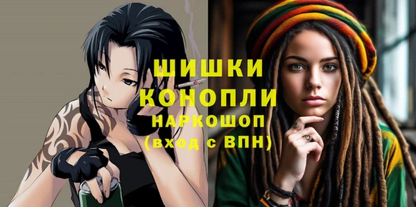 ГАЛЛЮЦИНОГЕННЫЕ ГРИБЫ Заволжье