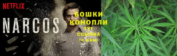 ГАЛЛЮЦИНОГЕННЫЕ ГРИБЫ Заволжье