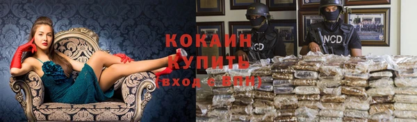сатива Зерноград