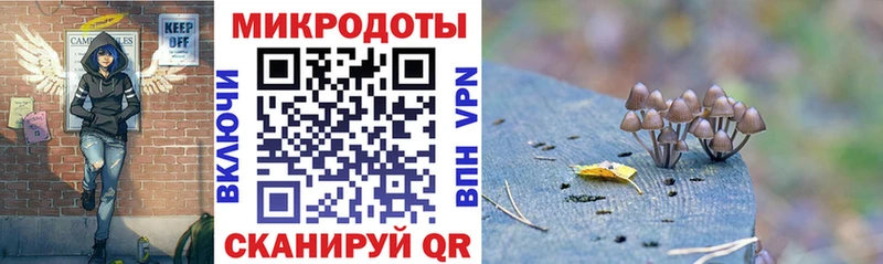 Купить закладки  Екатеринбург  Галлюциногенные грибы прущие грибы 